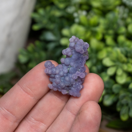 Small Grape Agate