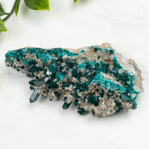 Diptase on Matrix #11