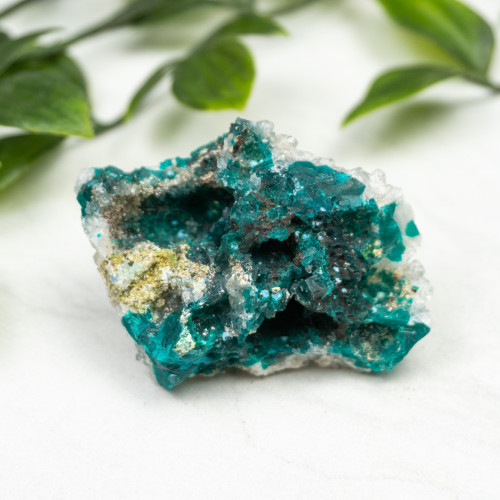 Diptase on Matrix #9