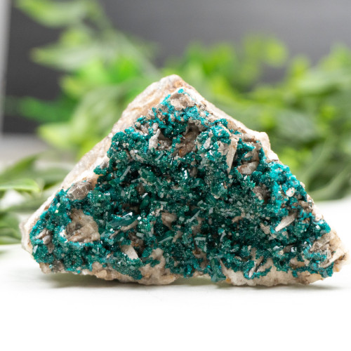 Diptase on Matrix #8