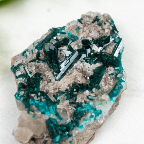 Diptase on Matrix #7