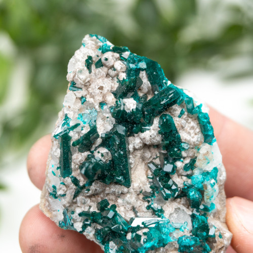 Diptase on Matrix #7