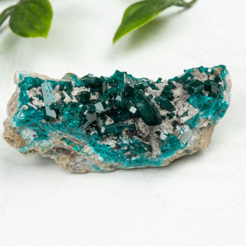 Diptase on Matrix #4