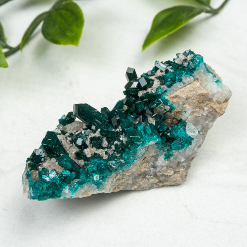 Diptase on Matrix #4