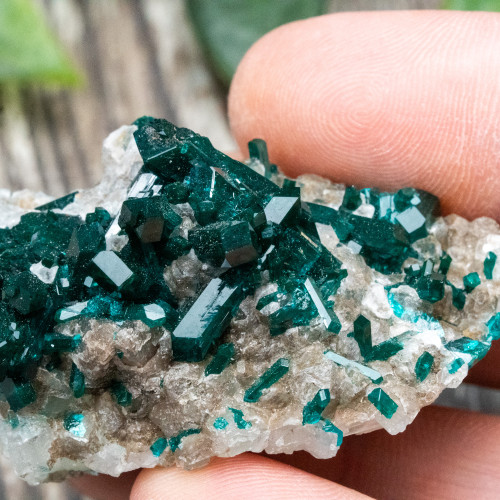 Diptase on Matrix #2