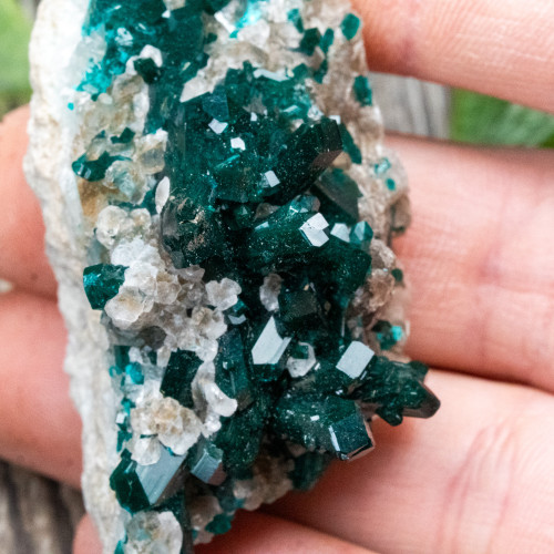 Diptase on Matrix #2