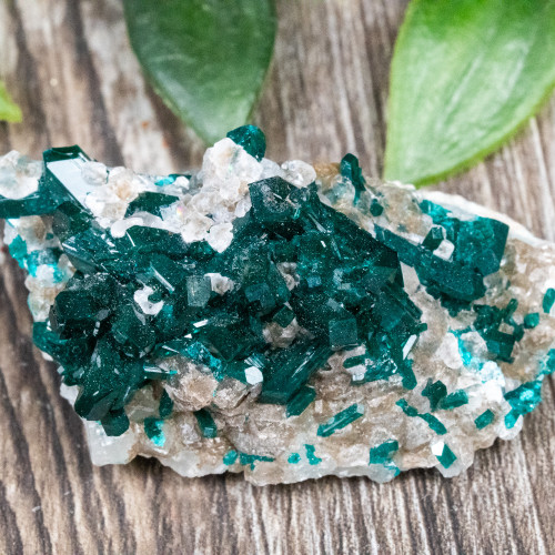 Diptase on Matrix #2