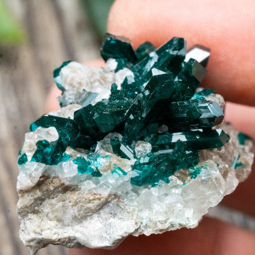 Diptase on Matrix #2