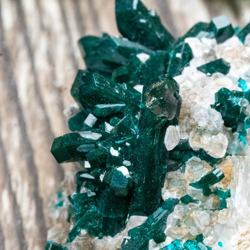 Diptase on Matrix #2