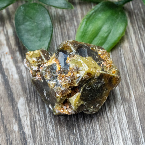 Green Garnet with Druzy Garnets #3