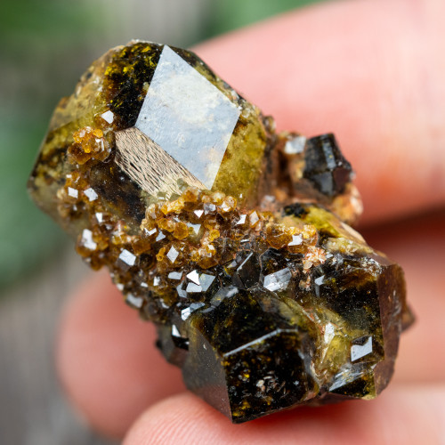 Green Garnet with Druzy Garnets #2