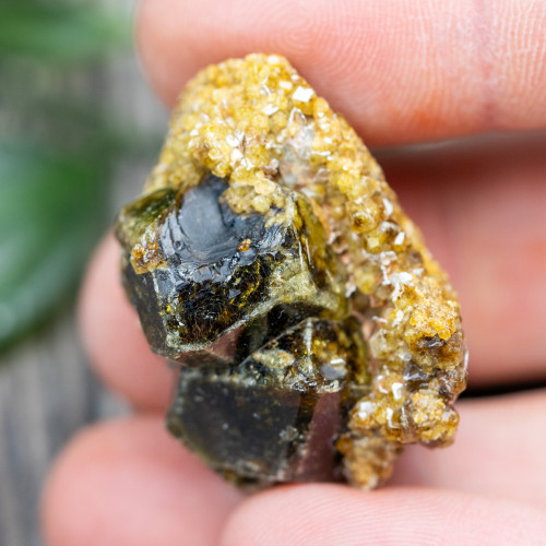 Green Garnet with Druzy Garnets #1