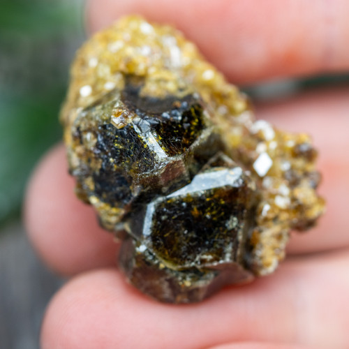 Green Garnet with Druzy Garnets #1