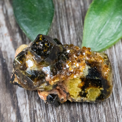 Green Garnet with Druzy Garnets #2