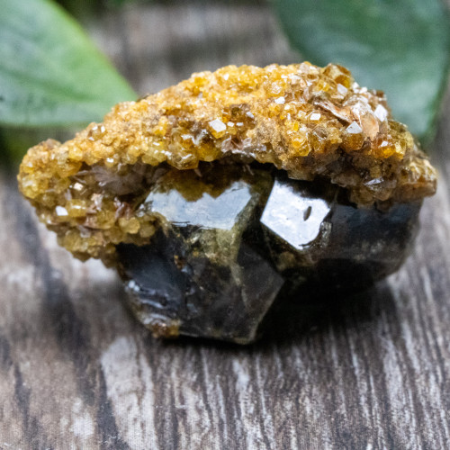 Green Garnet with Druzy Garnets #1