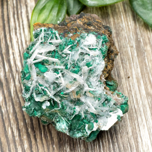 Bladed Selenite on Malachite #1