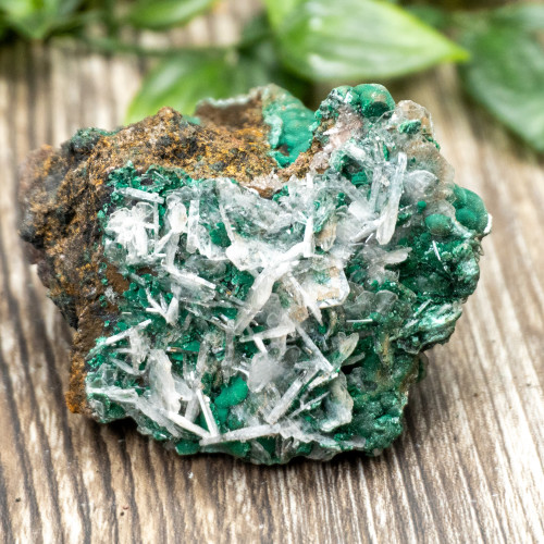 Bladed Selenite on Malachite #1