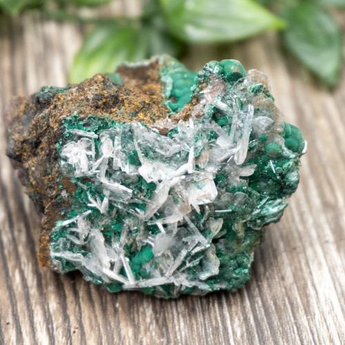 Bladed Selenite on Malachite #1