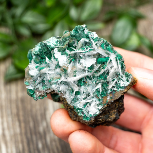 Bladed Selenite on Malachite #1