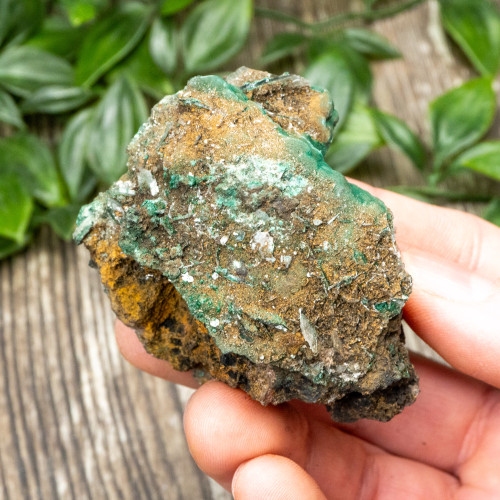 Bladed Selenite on Malachite #1