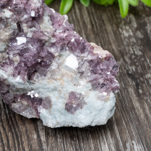 Lepidolite in Aquamarine and Quartz #1