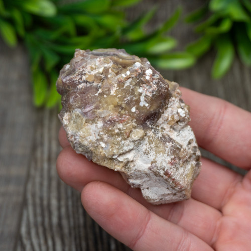 Yellow Mica & Lepidolite Cluster #1
