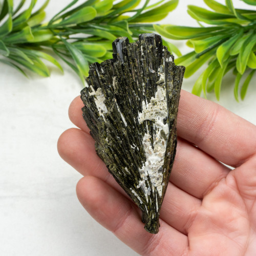 Epidote Fan #1
