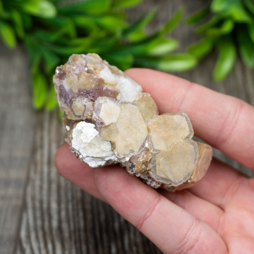 Yellow Mica & Lepidolite Cluster #1