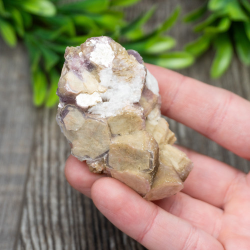Yellow Mica & Lepidolite Cluster #1