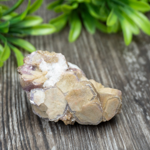 Yellow Mica & Lepidolite Cluster #1