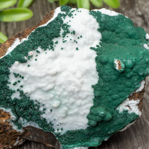 Snow White Quartz on Malachite #1