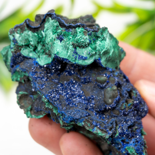 Azurite on Malachite (China) #1
