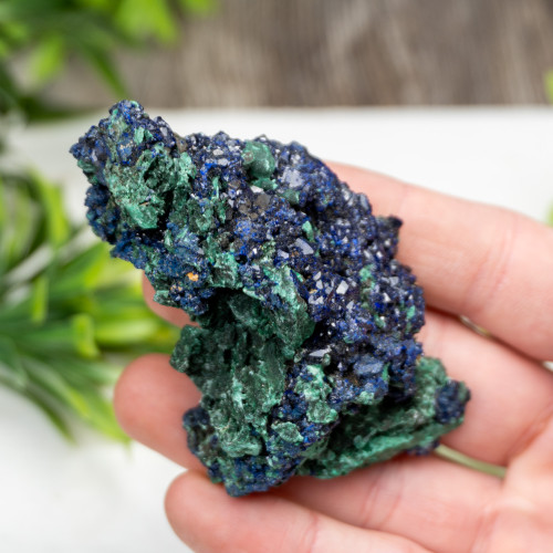 Azurite on Malachite (China) #2