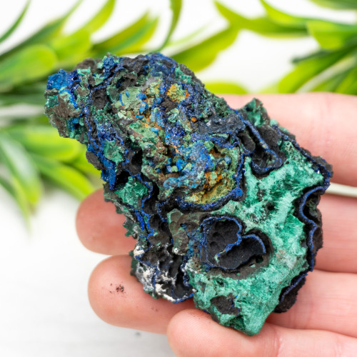 Azurite on Malachite (China) #1