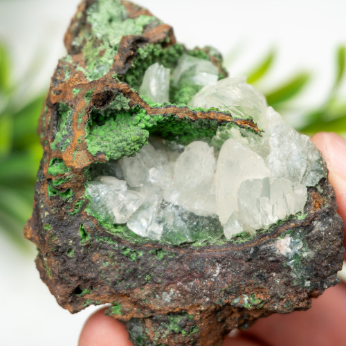 White Calcite with Conichalcite on Mottramite #1