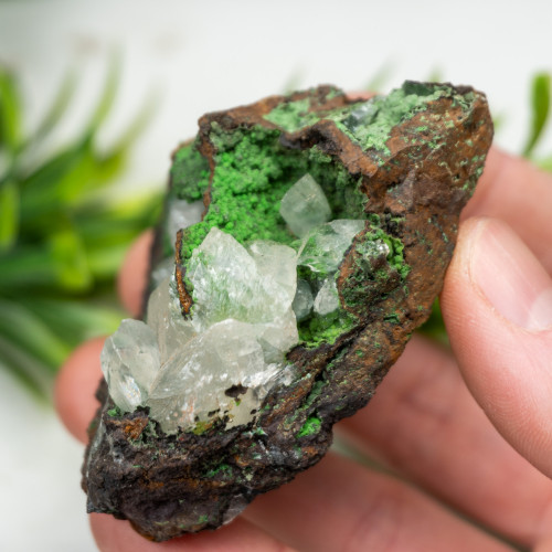 White Calcite with Conichalcite on Mottramite #1