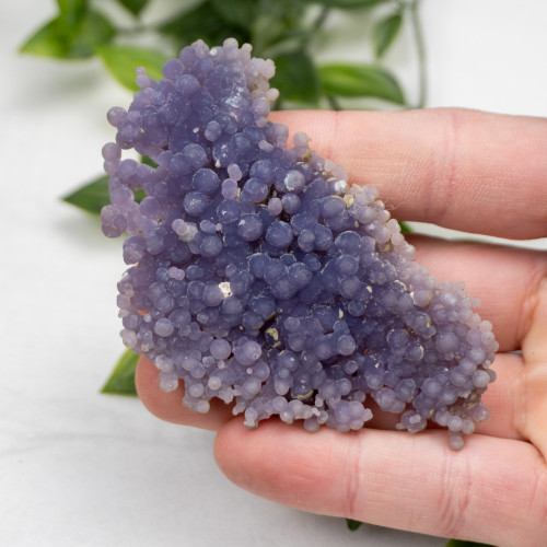 Grape Agate #2
