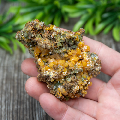 Wulfenite on Lead Matrix #1