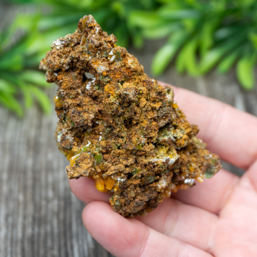 Wulfenite on Lead Matrix #1