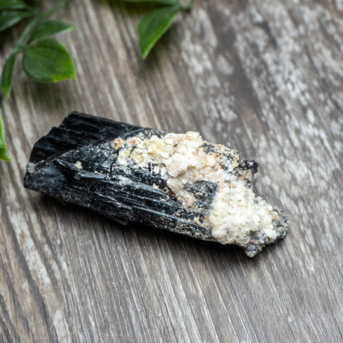 Black Tourmaline Crystallized with Hyalite Opal (Namibia) #2