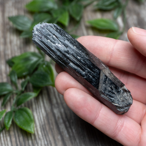 Black Tourmaline Crystallized (Namibia) #1
