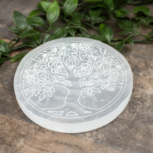 Selenite Large Tree of Life Circle Plate Random