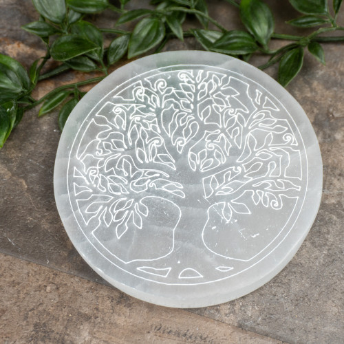 Selenite Large Tree of Life Circle Plate Random