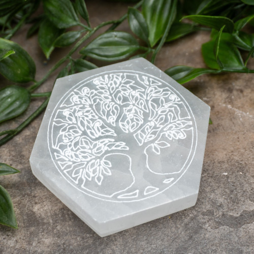 Small Selenite Hexagon Tree of Life Plate Random