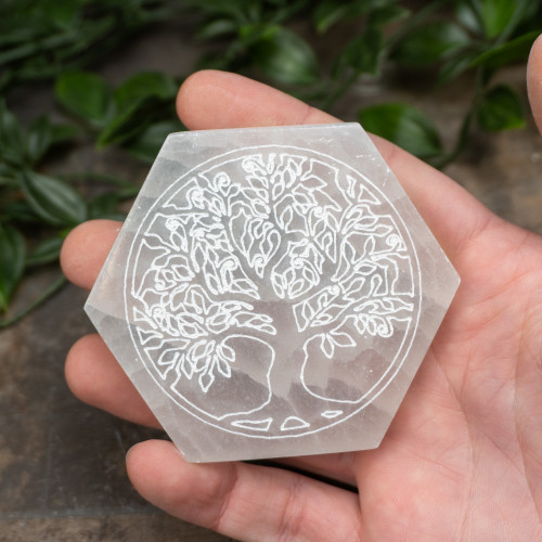 Small Selenite Hexagon Tree of Life Plate Random