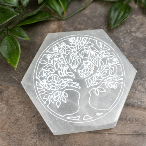 Small Selenite Hexagon Tree of Life Plate Random