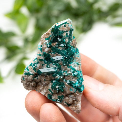 Diptase on Matrix #3