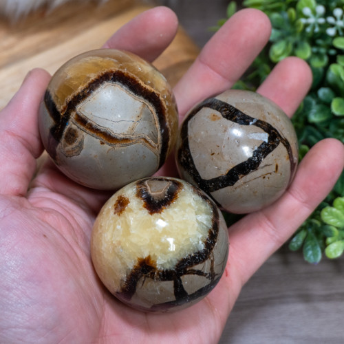 Small Septarian Sphere