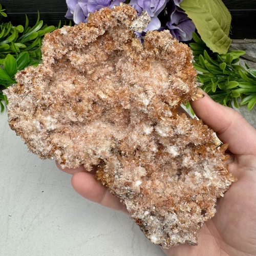 XL Creedite #1