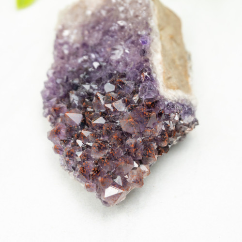 Auralite 23 #15